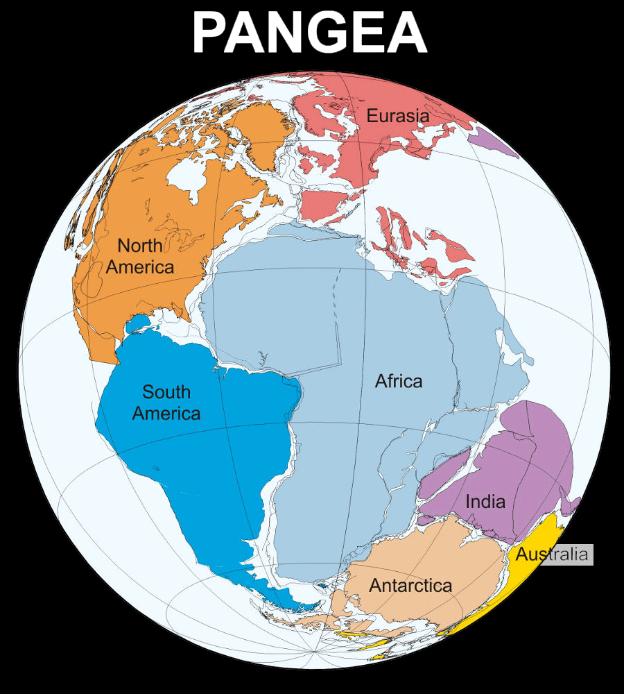 Alfred Wegener Wildaboutit