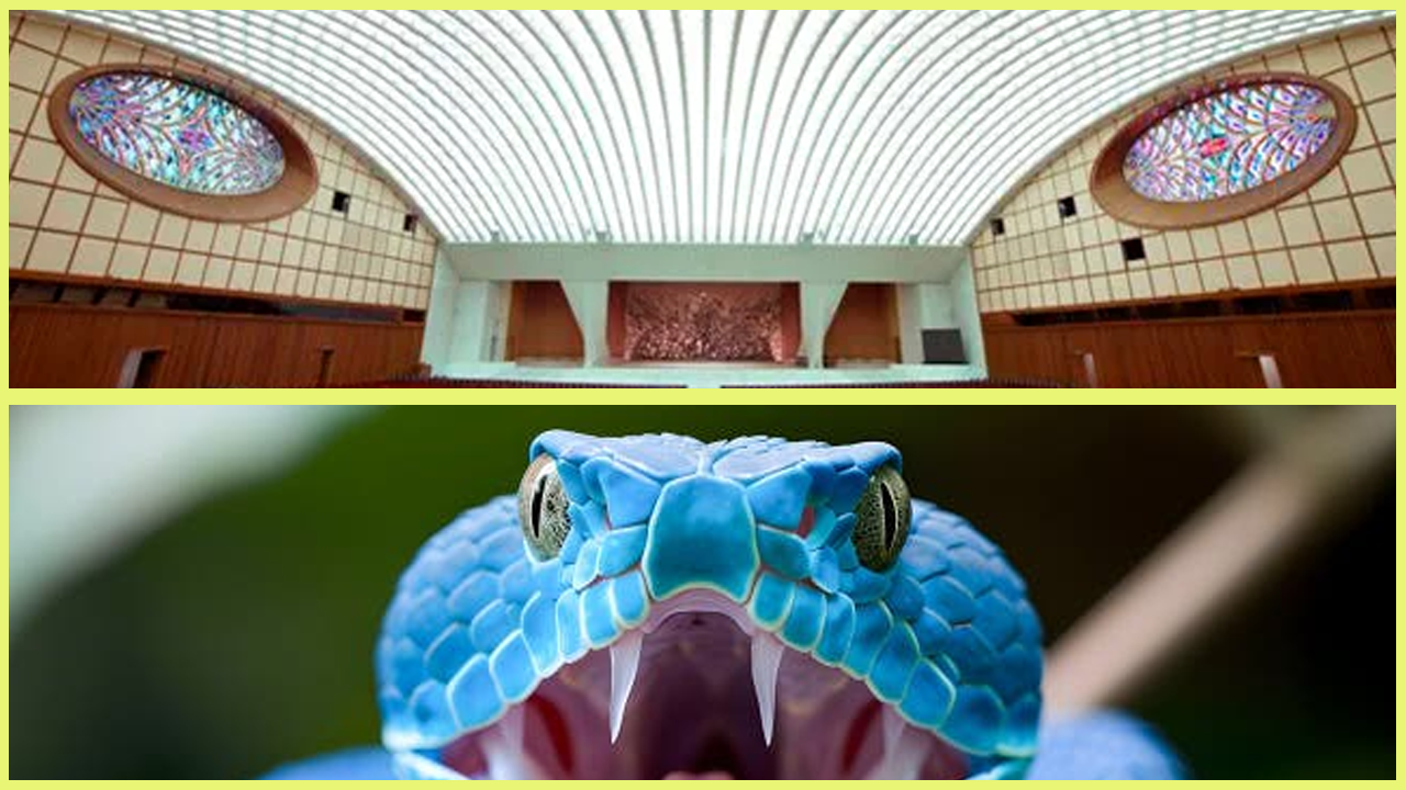 pareidolia